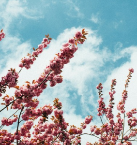 David, 42 ans, cadre supérieur