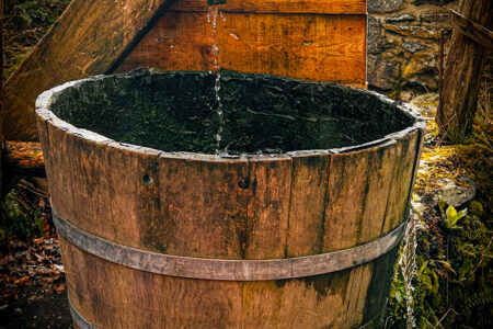 Amélioration du contrôle urinaire et fécal