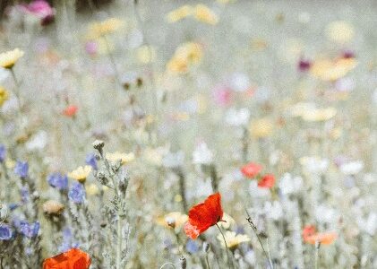 Léa, 29 ans, designer freelance