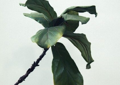 Jérôme, 52 ans, professeur de sport