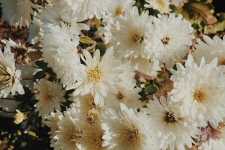 Ariane, 35 ans, maman de deux filles